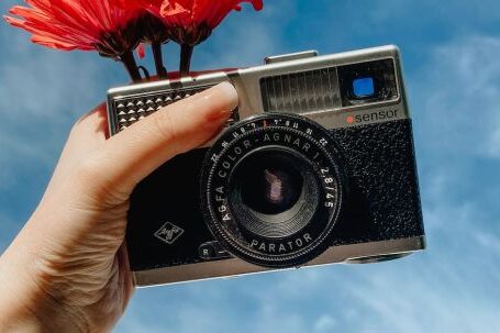 Vintage Revival - From below crop anonymous female photographer holding vintage photo camera with blooms against sky